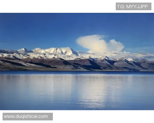 专访杨芳揭秘和平精英成功背后的策略与创新之路