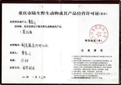 重庆市家云孔雀养殖场 专业供应蓝孔雀（种孔雀？孔雀苗），品质保证